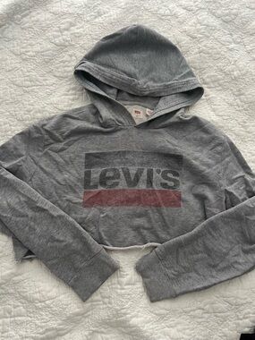 Levi's Gray Cropped Hooded Sweatshirt